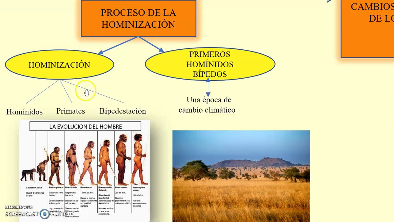 En que consiste el proceso de hominizacion