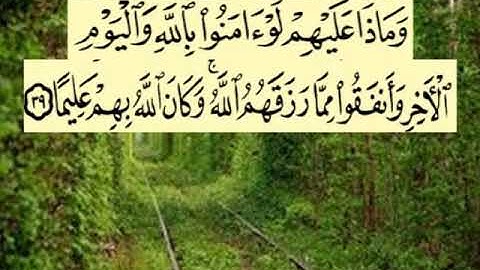 سورة النساء اية ٣٩ جمال القرش