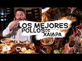 Encontré los mejores pollos de Xalapa y gratis || Que hacer en Xalapa