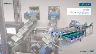 InLine Keen-Eye chicken portion sorting for defects, size & weight