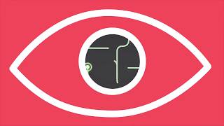 Assessment Services Ltd - Introduction