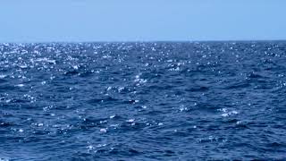 [10 Hours] Wide Open Ocean - Video & Audio [1080HD] SlowTV