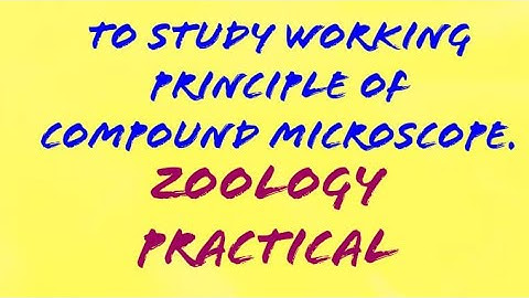 To study working principle of Compound Microscope. ( ZOOLOGY PRACTICAL)