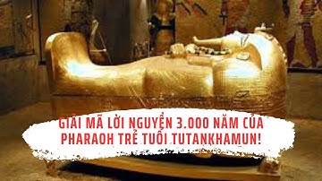Giải Mã Lời Nguyền 3 000 Năm Của Pharaoh Trẻ Tuổi Tutankhamun!