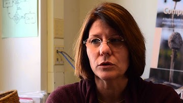 Thought Theft: Plagiarism at Purdue