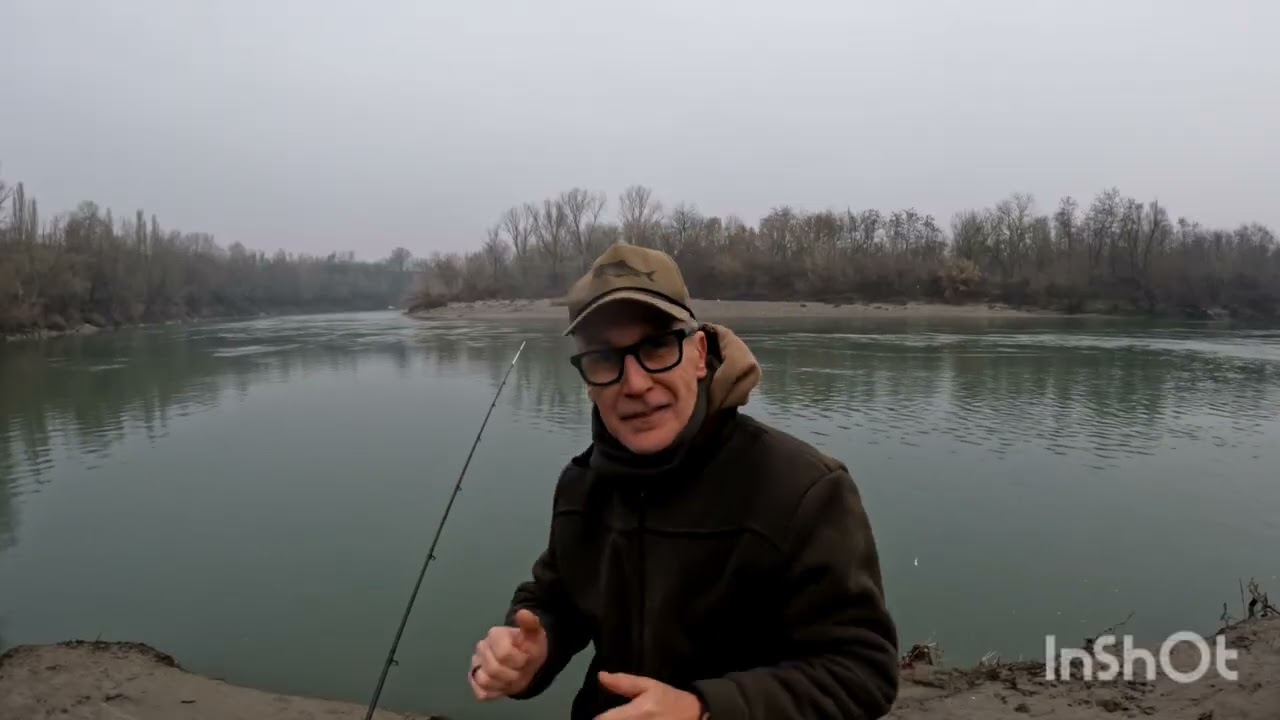 Feeder invernale: Cosa c'è che non va!!!! Cappotto 😭😭😭😭 