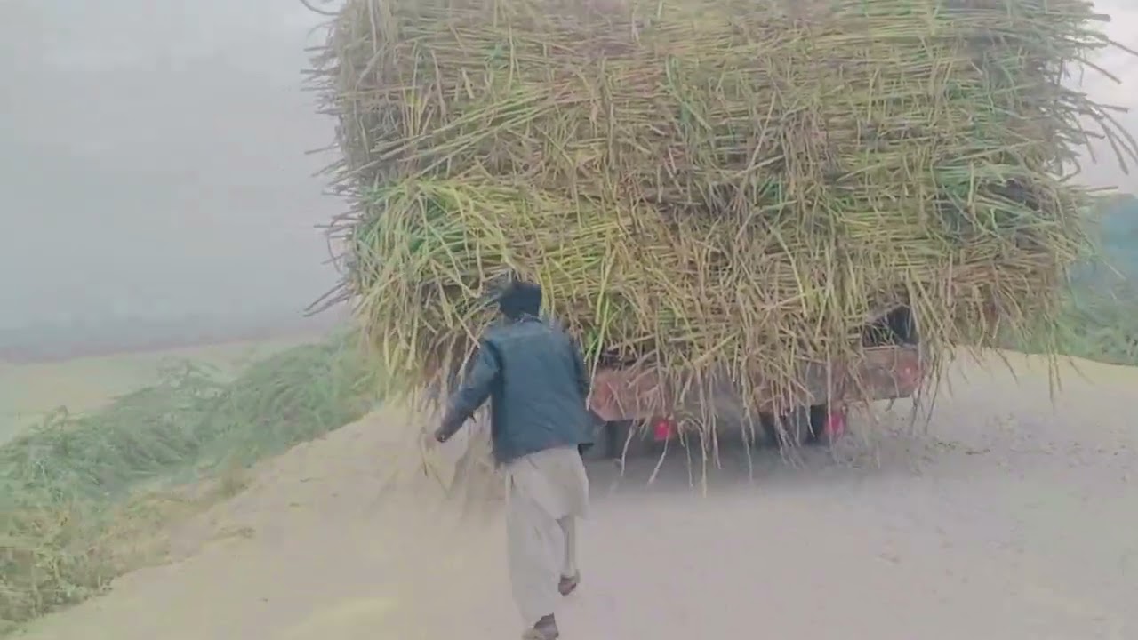 asif bilwani offical