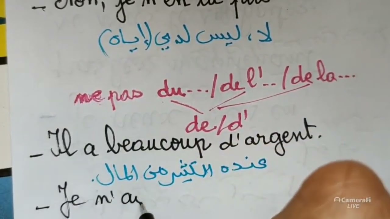 التحدث بالفرنسية و النطق و الاملاء في آن واحد  معي  مباشرة (14)