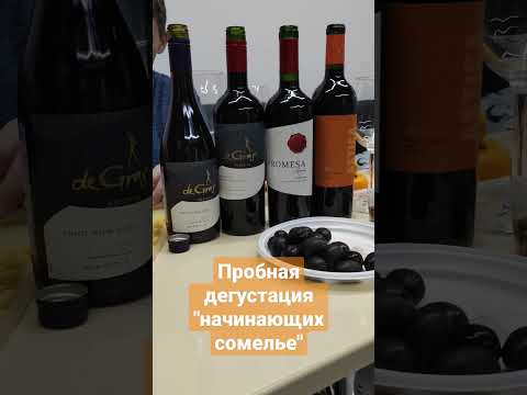 пробная дегустация #shorts #асазнов #сомелье #дегустация #вино