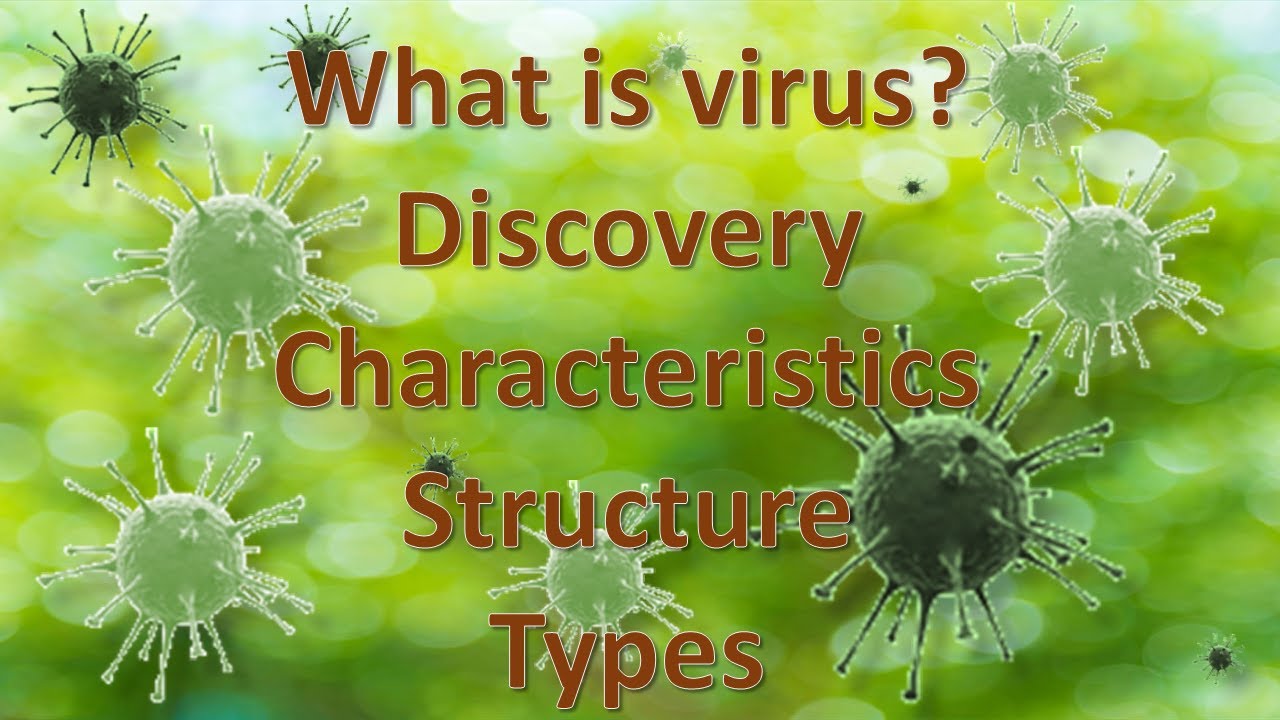 Characteristics about Viruses