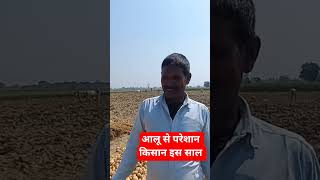 इस बार आलू किसान की लागत नही निकल रही #open_media #shortvideo