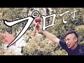 大道芸人のプロが素人のフリして もしかめに挑戦。 【Youtube ショート】