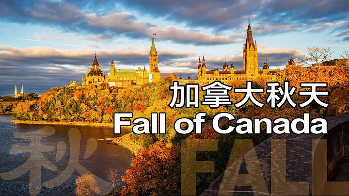 4K Fall of Canada 加拿大秋天｜安大略阿岗昆赏枫｜魁北克枫叶大道和魁北克老城 - 天天要闻