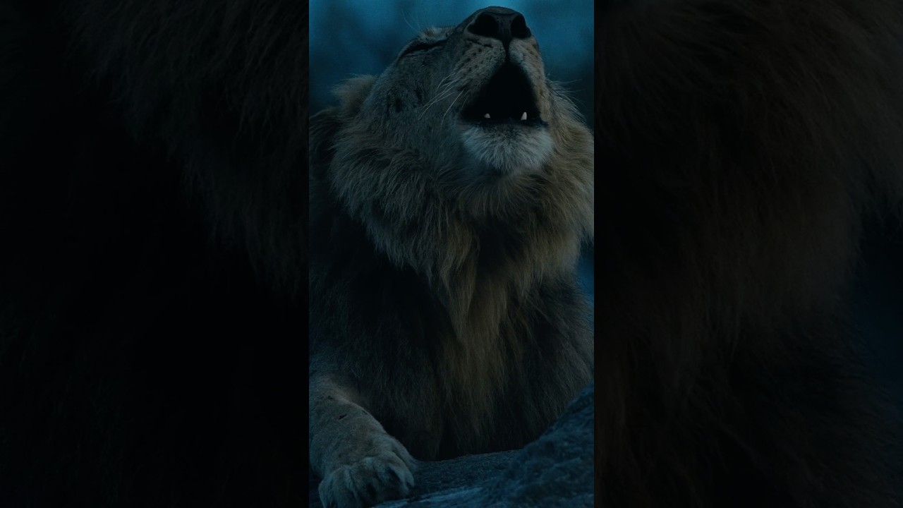 The African Lion