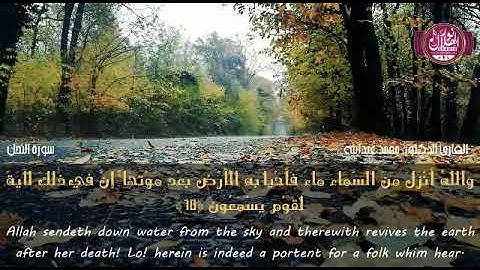 آيات رائعه من سورة النحل  د/محمد عبد الله سليمان