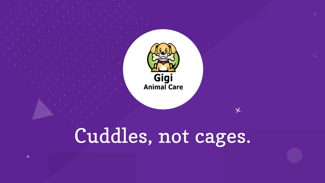 Gigi s Animal Care Cuddles Not Cages 90404 YouTube