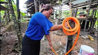 CHANDRAMUKI AMBIL TUGAS MENTUA JAGA KEBUN DAN BAGI TERNAKKAN MAKAN // 