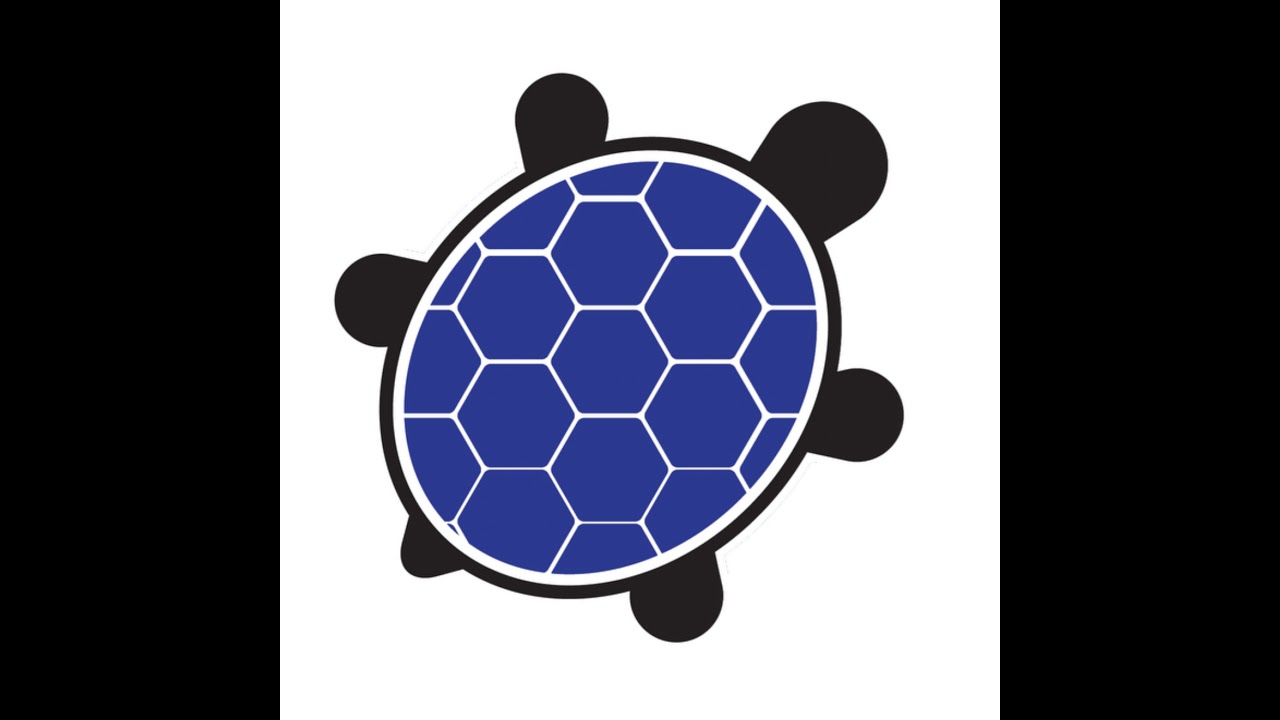 Blue Turtle Express - Play! Pokémon Live Stream - YouTube