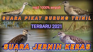 @sniper_unik_ora_unik_ora_asixx SUARA PIKAT AMPUH BURUNG TRINIL