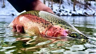 Fly Fishing & Floating the Yakima River - Washington's Blue Ribbon Trout Stream