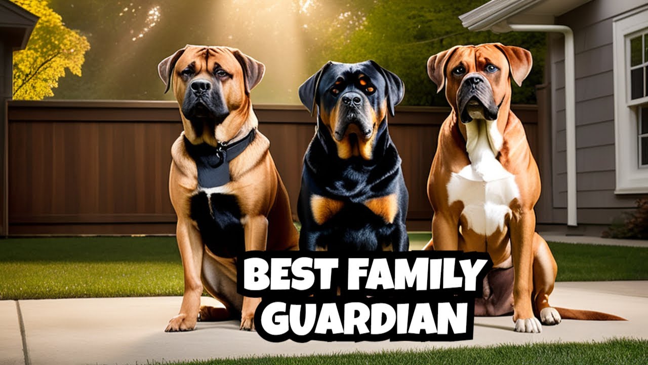 Ultimate Family Guard Dog Comparison 2025 YouTube