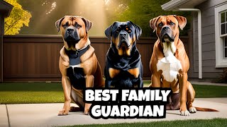 Family Guard Dog Comparison: Rottweiler vs. Boxer vs Cane Corso