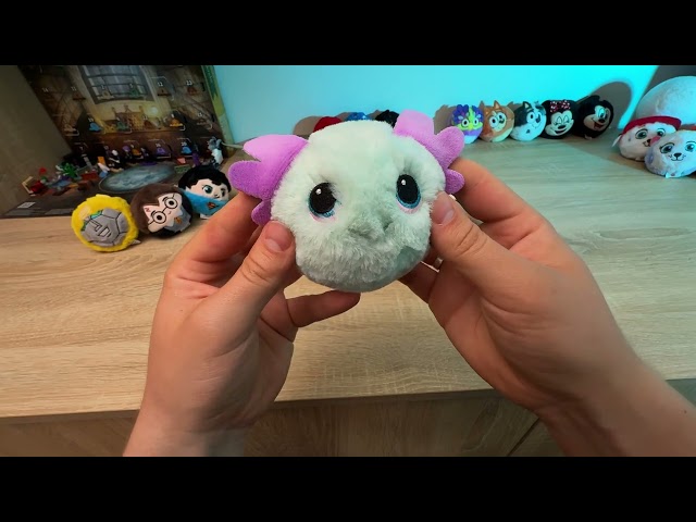 FINS (closed mouth) - RETIRED #ty #beaniebouncers