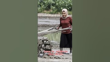 learn to cultivate rice fields #shorts #shortsvideo