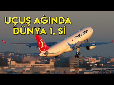 Video: Alyaska Hava Yolları kimə məxsusdur?