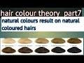 hair colour  theory part 7 How To get Perfect at Home Hair Color