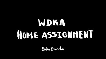 WDKA Home Assignment - Visual Answers