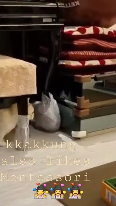 here comes KKAKKUNG 😻😽😸