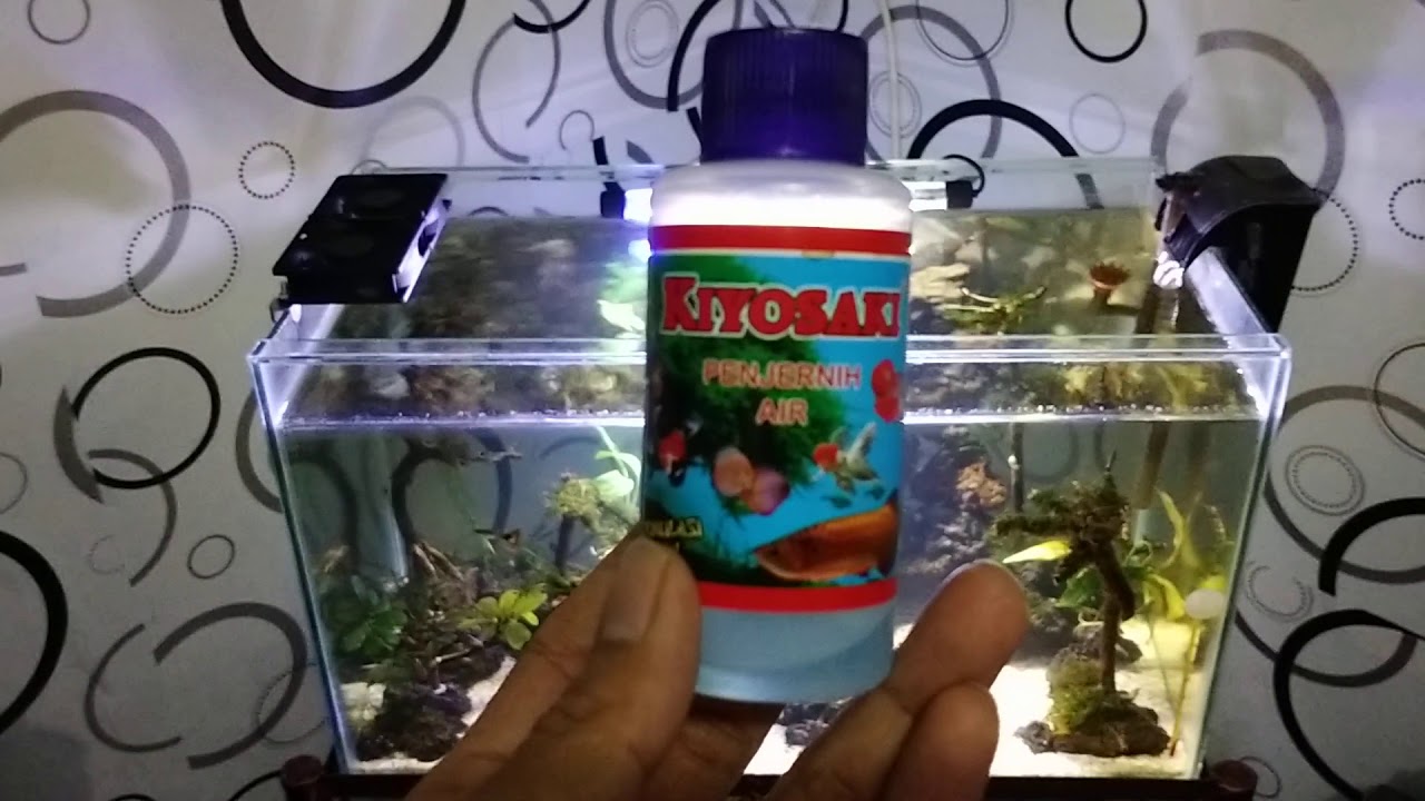 Obat penjernih air aquascape
