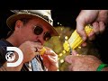 Mike And Jerry Hunt For Sweetcorn! l Moonshiners