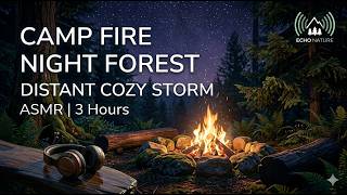 Twilight Forest Campfire: Crackling Fire & Evening Forest Sounds | Deep Relaxation| Echo Nature
