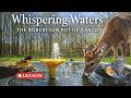 LIVE: Whispering Waters | Blue Ridge Bird Bath &amp; Deer Watering Hole | The Robertson Rottie Ranch
