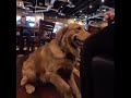 Kirby Dining Out