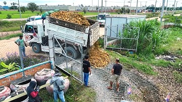 Absolutely Amazing Landfill In New Project Using Bulldozer Komatsu D31 Processing Soil Clear Trash