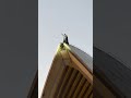 Batman swaps Gotham City for Circular Quay
