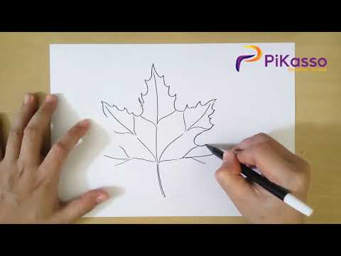 How to Draw Autumn Leaves step by step