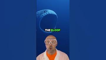 Scariest sound in the ocean 🌊😱