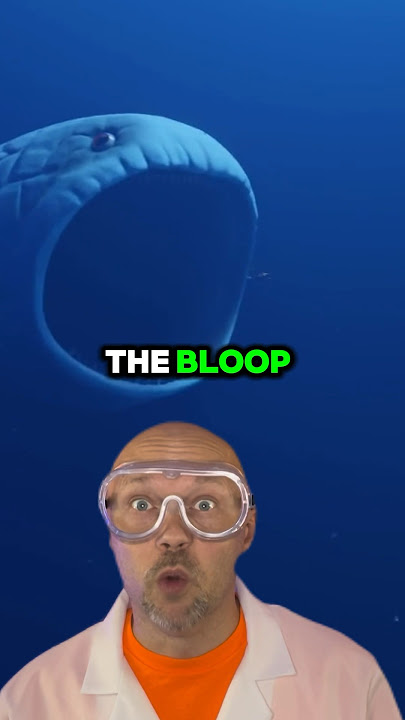 Scariest sound in the ocean 🌊😱