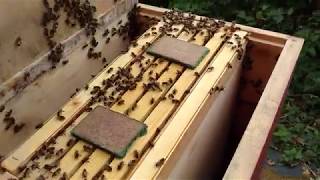 Akademia Kwasów - Kwas Mrówkowy - Wielkość Parownika