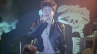 Celebrity The Sex Mutants - Killer Machine Net Worth