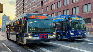 New York City Bus Compilation in Jamaica Queens #10