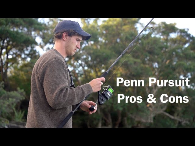 Penn Pursuit Spinning Reel Review