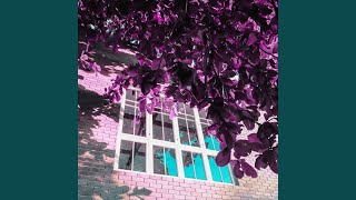 Spectacular Moods for Timeless Pleasures