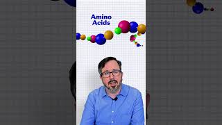 What Are Proteins?