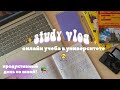 STUDY VLOG📓 | ОНЛАЙН-УЧЕБА в университете | продуктивные будни студента👩🏼‍💻✨