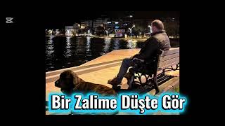 Bir Zalime Düş - Te Gör